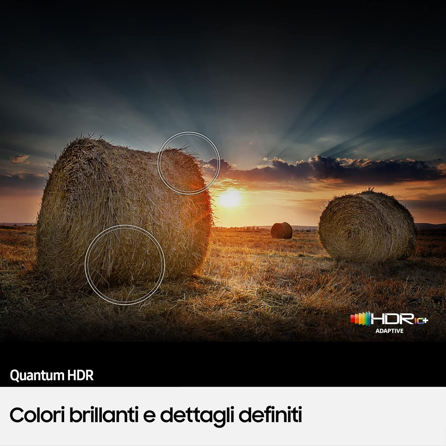 Foto 7 di 12