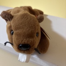 Ty Beanie Baby Bucky the Beaver DOB 6-8-95 MWMT