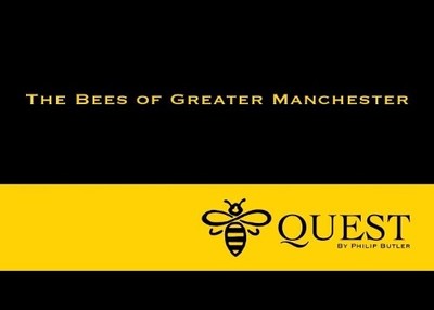 Bee Quest, Butler, Philip