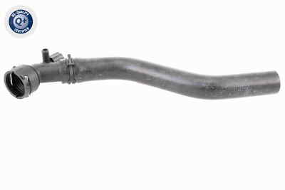 VAICO V10-3205 Kühlerschlauch für SKODA