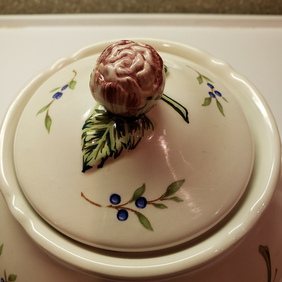 naare紅茶( Princess Party,Graceful Family) Product details for Wildflower Dinner Plates (4)