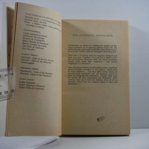 The Countess Angelique Part 2 by Sergeanne Golon PB vintage fiction Pan book - Bild 6 von 15