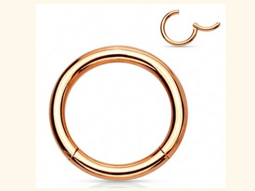 Surgical Steel Septum Clicker Nose Ring Hinge Segment Ear Helix Tragus Ring Hoop - Picture 5 of 8