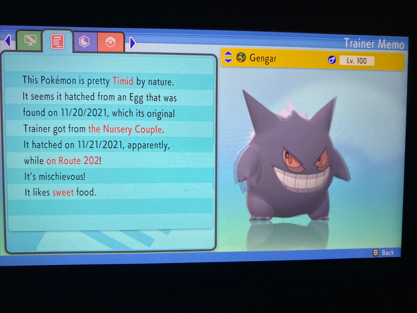 Pokemon Brilliant Diamond and Shining Pearl Gengar 6IV-EV Trained