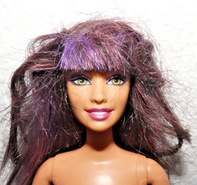 Mattel Barbie Fashionistas Swappin Styles Sassy Teresa Doll Purple Highlights