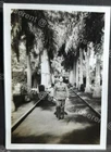 WW2 Egypt - Cairo - RAF C/pl M.J. Green at Gezira Gardens 1942 - photo 9 by 6cm