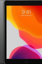 Apple iPad 10.2" 7th Gen 32GB Wi-Fi/Cellular Space Gray Factory Reset
