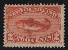 #48 Newfoundland Canada mint
