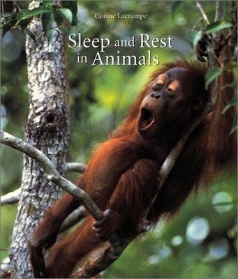 Sleep and Rest in Animals, Lacrampe, Corine