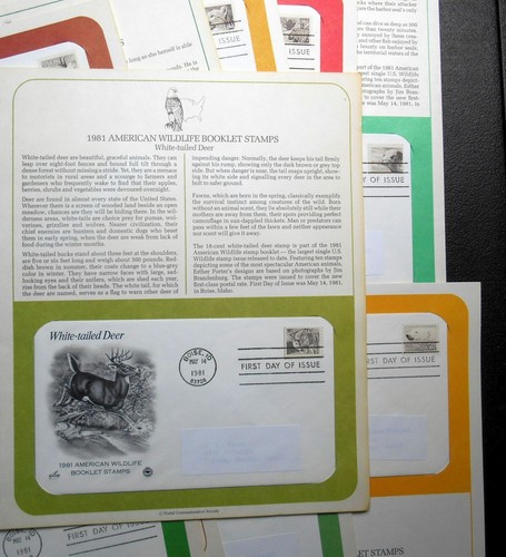 1981 WILDLIFE 18c Sc 1880-1889 set 10 FDCs with full info PCS pages animals - Picture 5 of 8