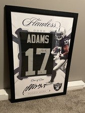 Davante Adams Las Vegas Raiders Custom Framed Autographed Jersey 1 of 1 - 24x36