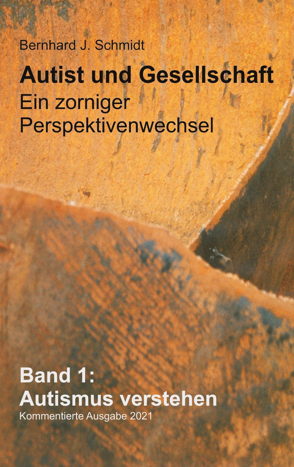 Thumbnail - Bernhard J. Schmidt | Autist Und Gesellschaft - Ein Zorniger
