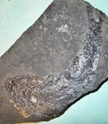 Fine  complete 17cm P:alaeoniscus freieslebeni; Kupforschiefer, Zechstein, De.