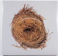 WILCO &lrm;&ndash; A Ghost Is Born 2005 ist US Press Vinyl Rhino/Nonesuch 2xLP- Excellent