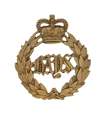 Queen's Crown Queen's Bays 2nd Dragoons Guards Mützenabzeichen