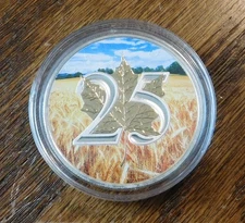 2013 24k Gold Gilded 25 Anniversary Silver Maple Leaf 1 Oz .999 Fine Silver Coin