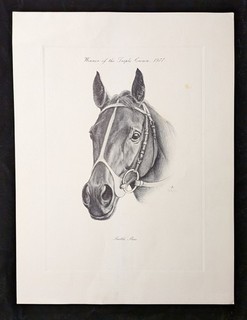 VINTAGE SEATTLE SLEW TUNELL PRINT OLD FRIENDS CHARITY