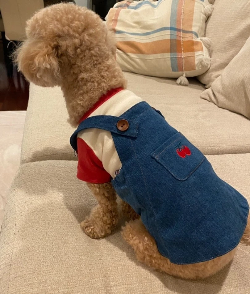 Pet Clothes / Pet Denim / Dog Overalls / Denim Overalls / Dog cute Dress - Image 2 of 4