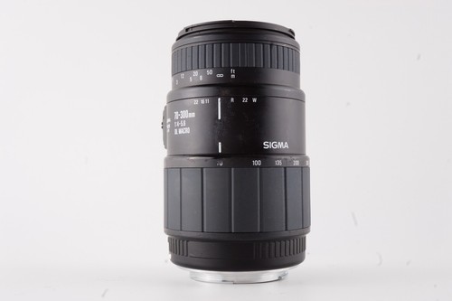 【Exc+5】Sigma 70-300mm F4-5.6 DL Macro for Canon Film Camera Japan - Picture 11 of 12