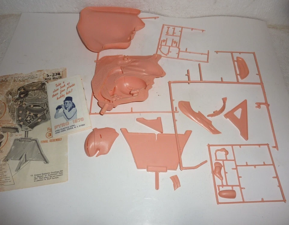 Vintage 1968 Pyro Nose Mouth Anatomy Life Size Model Kit Unassembled - Image 2 of 4