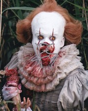 BILL SKARSGARD signed autograph 20x25cm IT PENNYWISE in person autograph ACOA