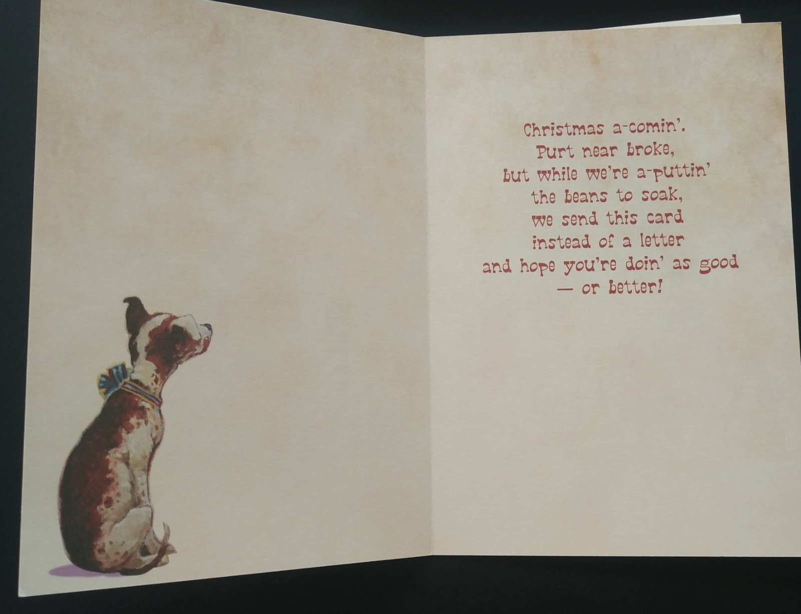 "Kooky Holiday (4) Leanin Tree Christmas, New Year Cards, New With (4) Envelopes