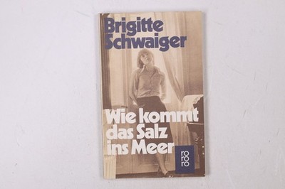 39568 Brigitte Schwaiger WIE KOMMT DAS SALZ INS MEER Roman