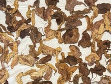 The Duck Flower Detox Flor de Pato, Dr Sebi Approved Alkaline Herbal Cleanse