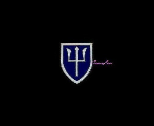 USA 97th Inf. Div. + a custom promo pin