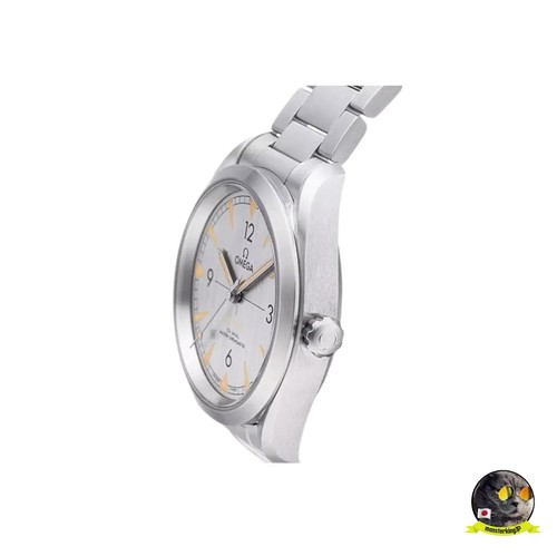 OMEGA SEAMASTER RAILMASTER CO‑AXIAL MASTER CHRONOMETER NEW 220.10.40.20.06.001 - Picture 15 of 16