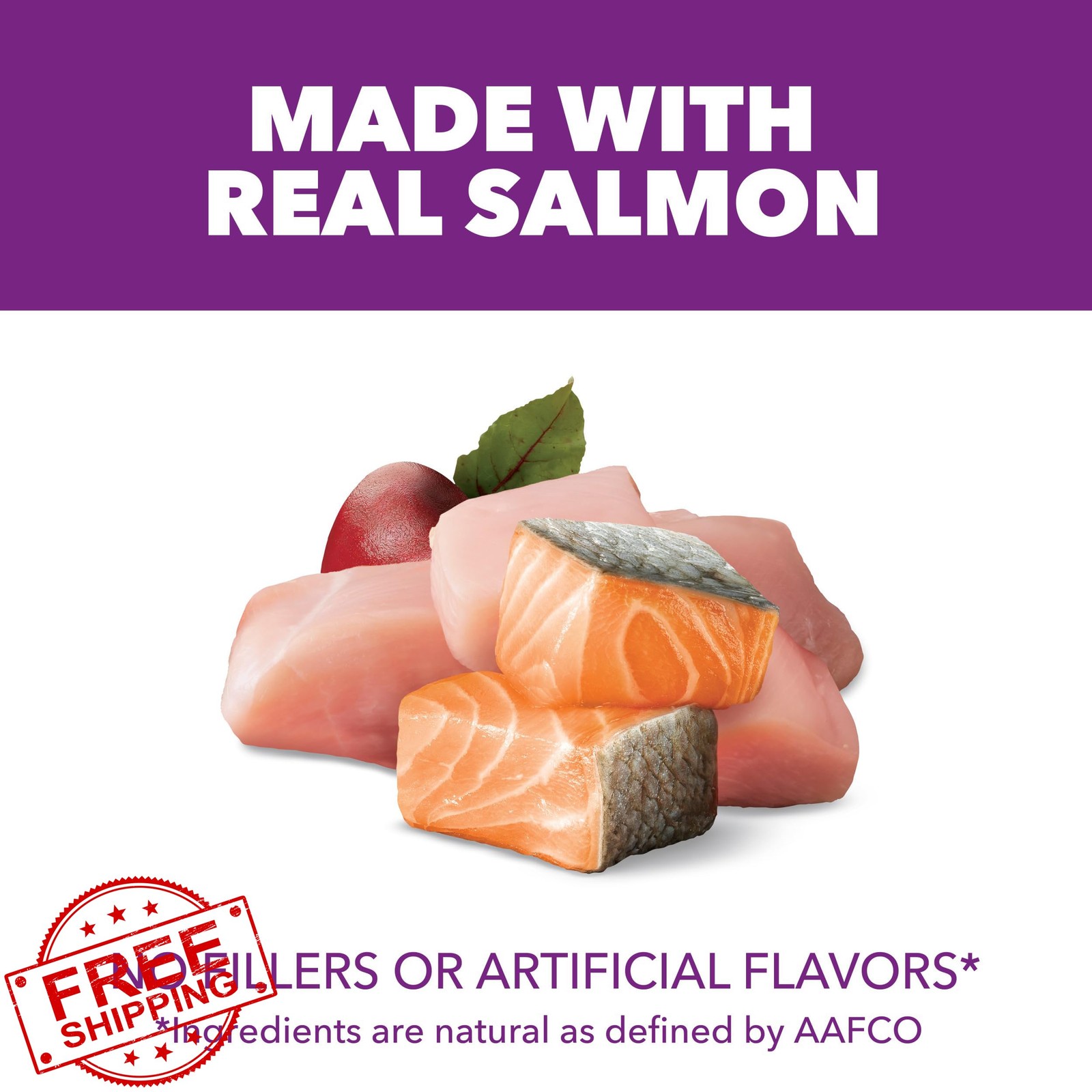 Skin Coat Chicken Salmon Dry 13.5 Lb Bag