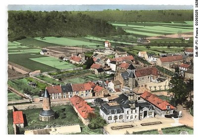 DM-BFP1-0916-91 - FONTENAY-LES-BRIS - Mit Dem Flugzeug Darüber - Panoramablick
