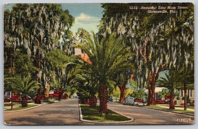 Vintage Gainesville FL East Main Street Linen Postcard Spanish Moss Palms AA966