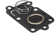  857005A1 Mercury Marine Quicksilver Fuel Pump Diaphragm Kit/230G