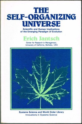 The Self-Organizing Universe: Scientific and Human Implication...