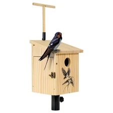 Tree Swallow House