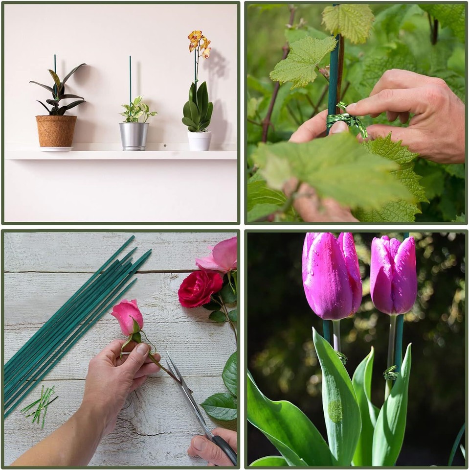 Green Bamboo Plant Stakes, Sticks Support for Indoor 18 inches, eBay