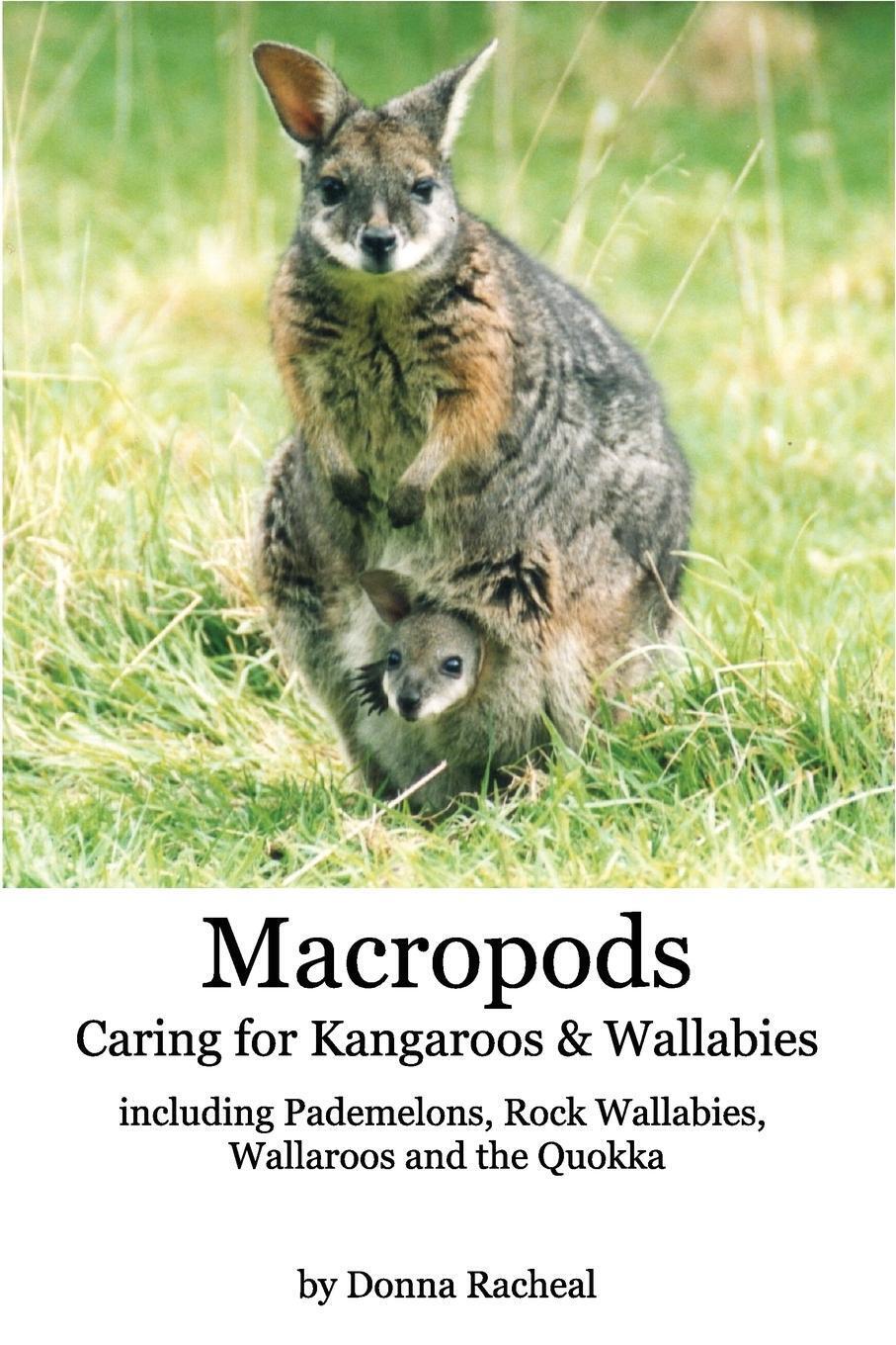 Thumbnail - Macropods - Caring For Kangaroos And Wallabies Donna Racheal