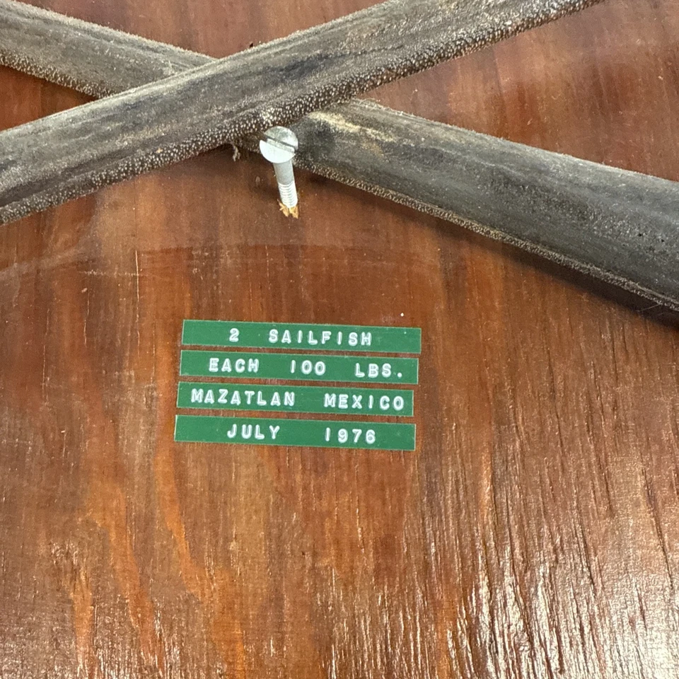 VELA PEZ AZUL MARLÍN BILLETE/NARIZ/PICO/LANZA PLACA DE TAXIDERMIA MONTADA Y MINI Lote Foto 2 de 4