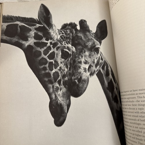 Vintage 1963 "The Mammals" By Time Life Nature Library Hardcover Book  - Picture 13 of 14