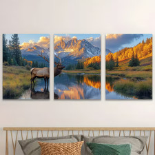 3pcs Rocky Mountain National Park Majestic Elk  Wall Art Canvas  Unframed/Framed