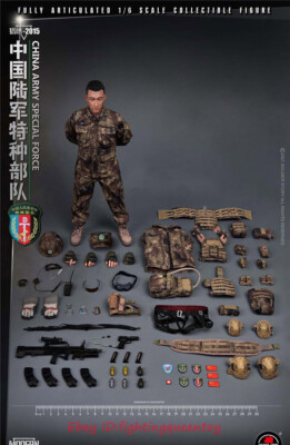 Soldier Story SS119 Chinese Army Special Forces Falcon 2015 1/6