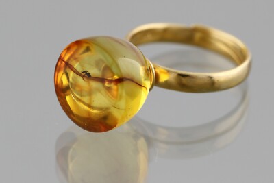 Fossil Insect ANT Genuine BALTIC AMBER Gold Plated Silver Adjustable Ring  523-10