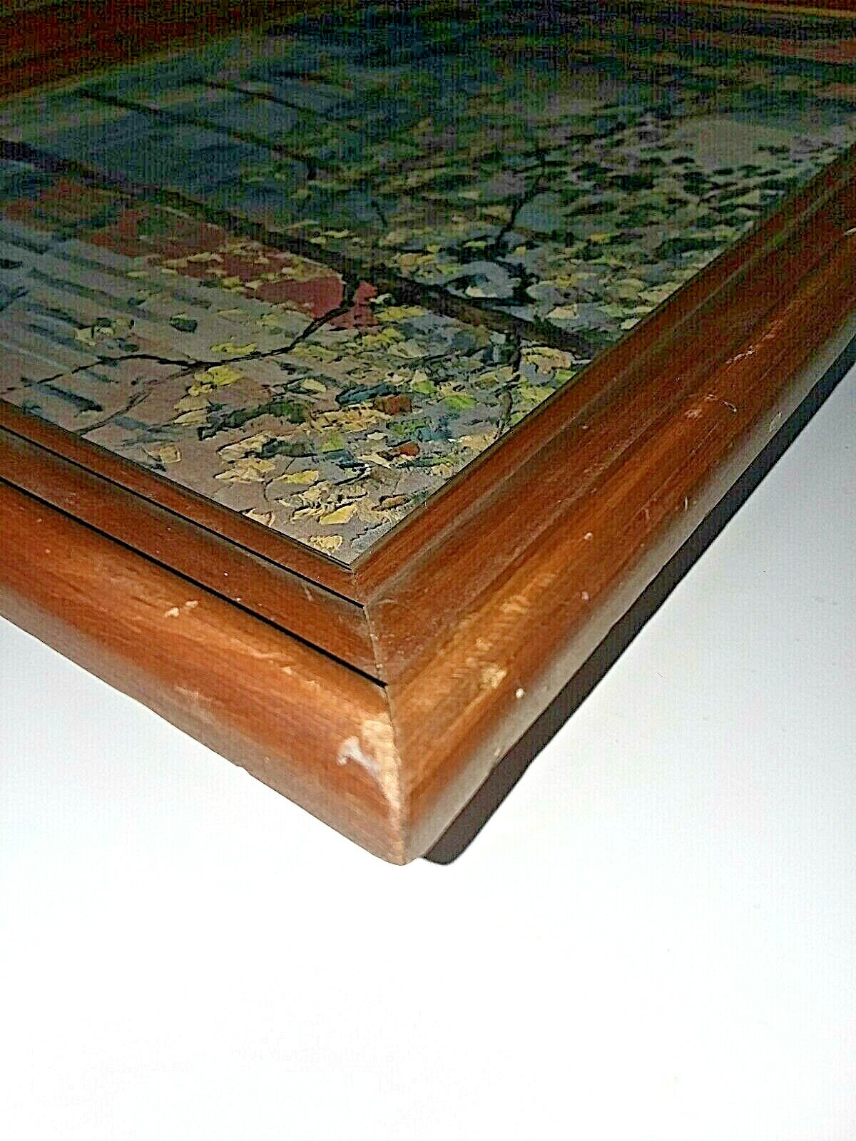 Picture 12 of 12