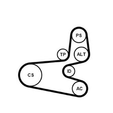 Keilrippenriemensatz für Peugeot 206 2A/C CC 2D SW 2E/K Partner 5, | 24509675