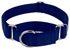 Country Brook Petz  Dark Royal Blue Martingale Heavyduty Nylon Dog Collar, Small