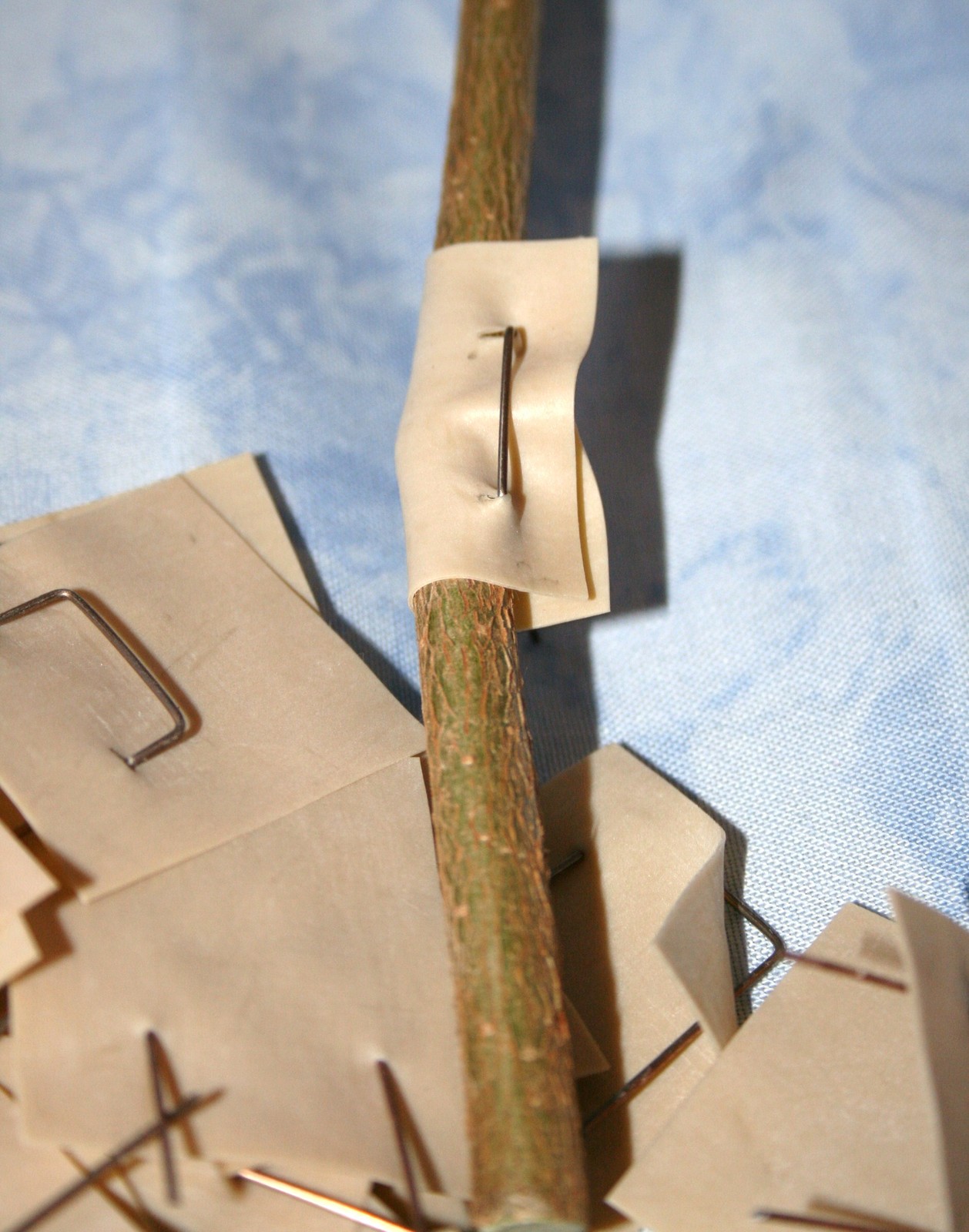 Bild 1 von 1