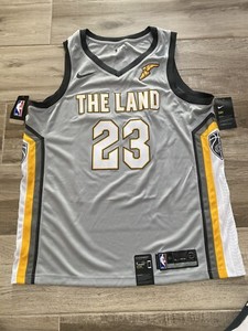 lebron james the land jersey