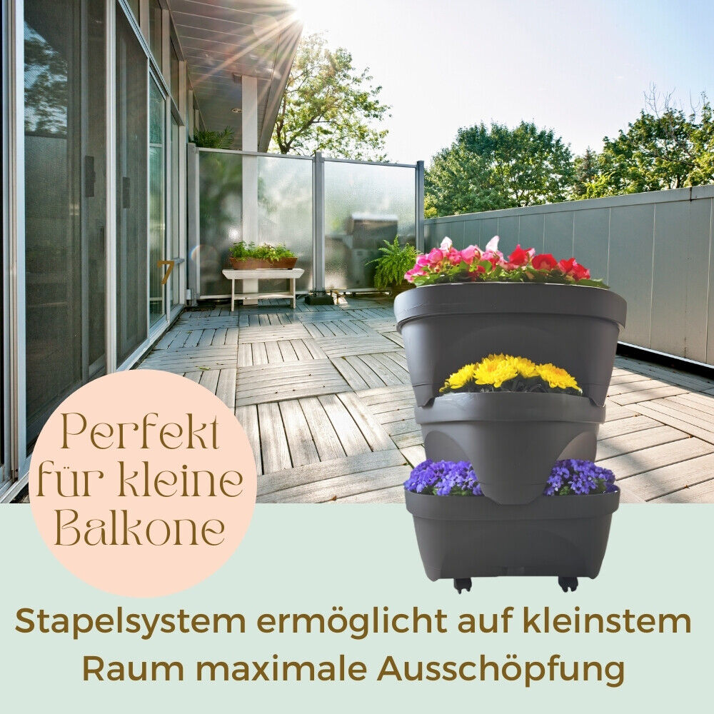 Bild 8 von 8
