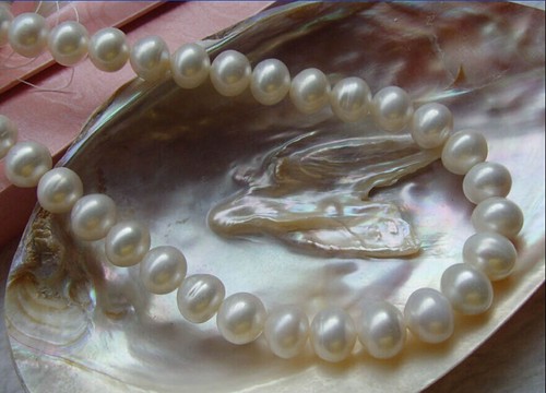 HUGE 10-11MM WHITE JAPANESE AKOYA PEARL NECKLACE 18 INCH 14K WHITE GOLD CLASP - Picture 2 of 2